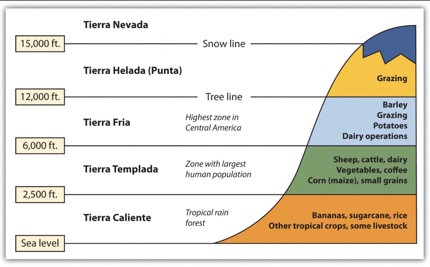 Vegetation zonation on mountains in the tropics