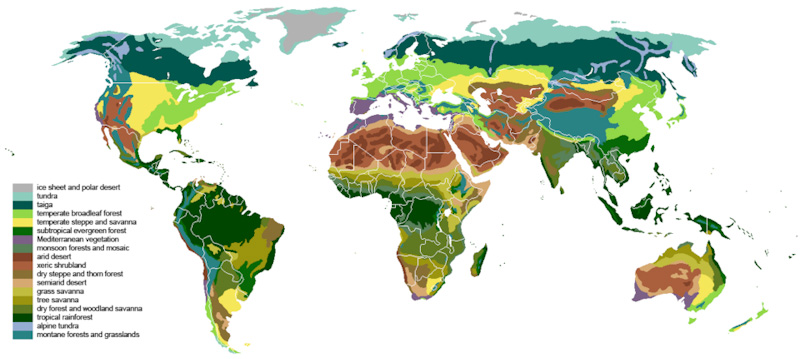 Biomes, Ecosystems, and Habitats
