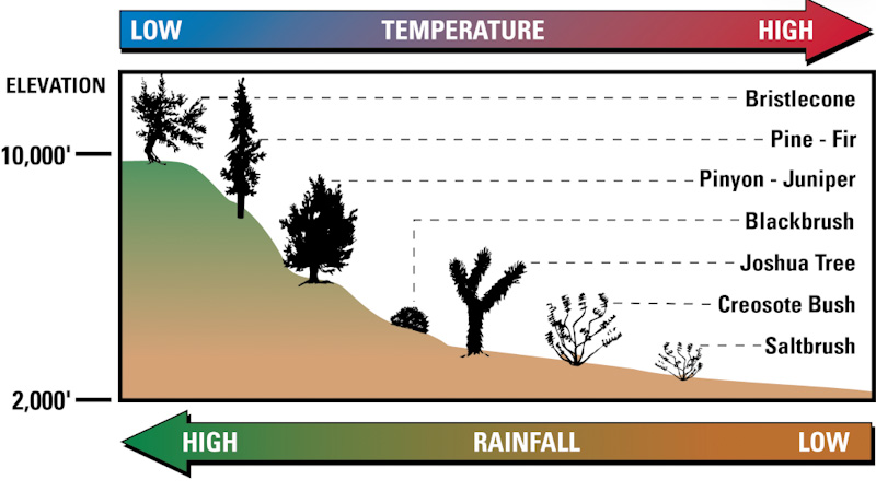 Mojave Biomes
